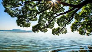 苏州石湖风水不好是吗

需注意，风水一说并无科学依据来证实其真实性哦。